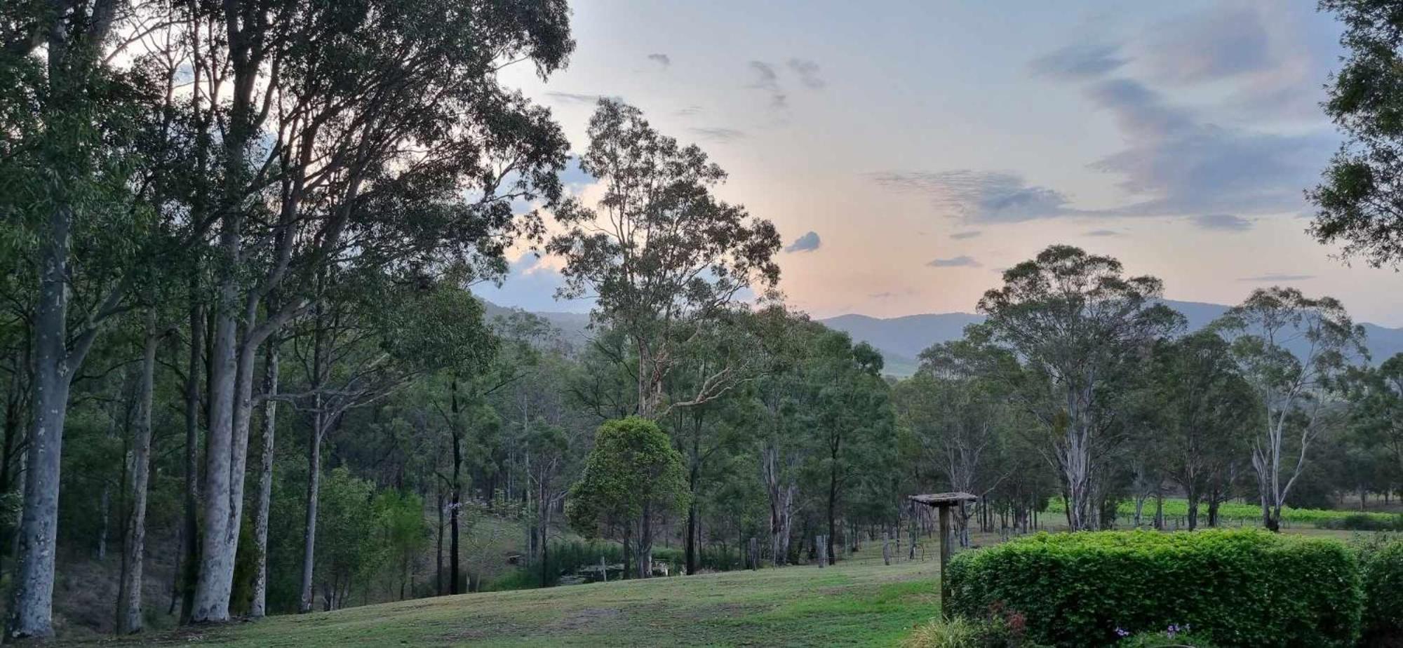 Elfin Hill Vineyard Accommodation Pokolbin Εξωτερικό φωτογραφία