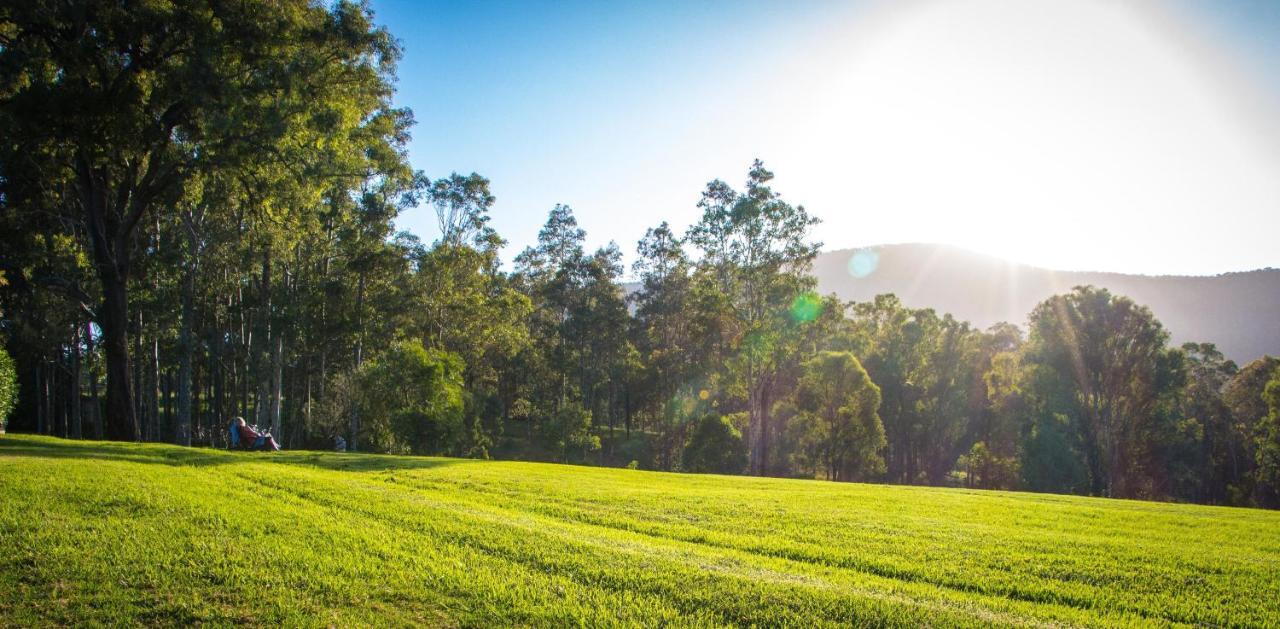 Elfin Hill Vineyard Accommodation Pokolbin Εξωτερικό φωτογραφία